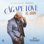 Whole Again – PC Divine