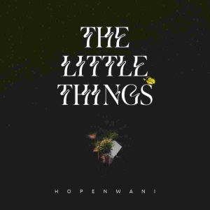 The Little Things – Hope Nwani
