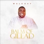 Wale Kay | Balm Of Gilead
