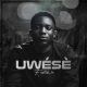 Festizie Uwese