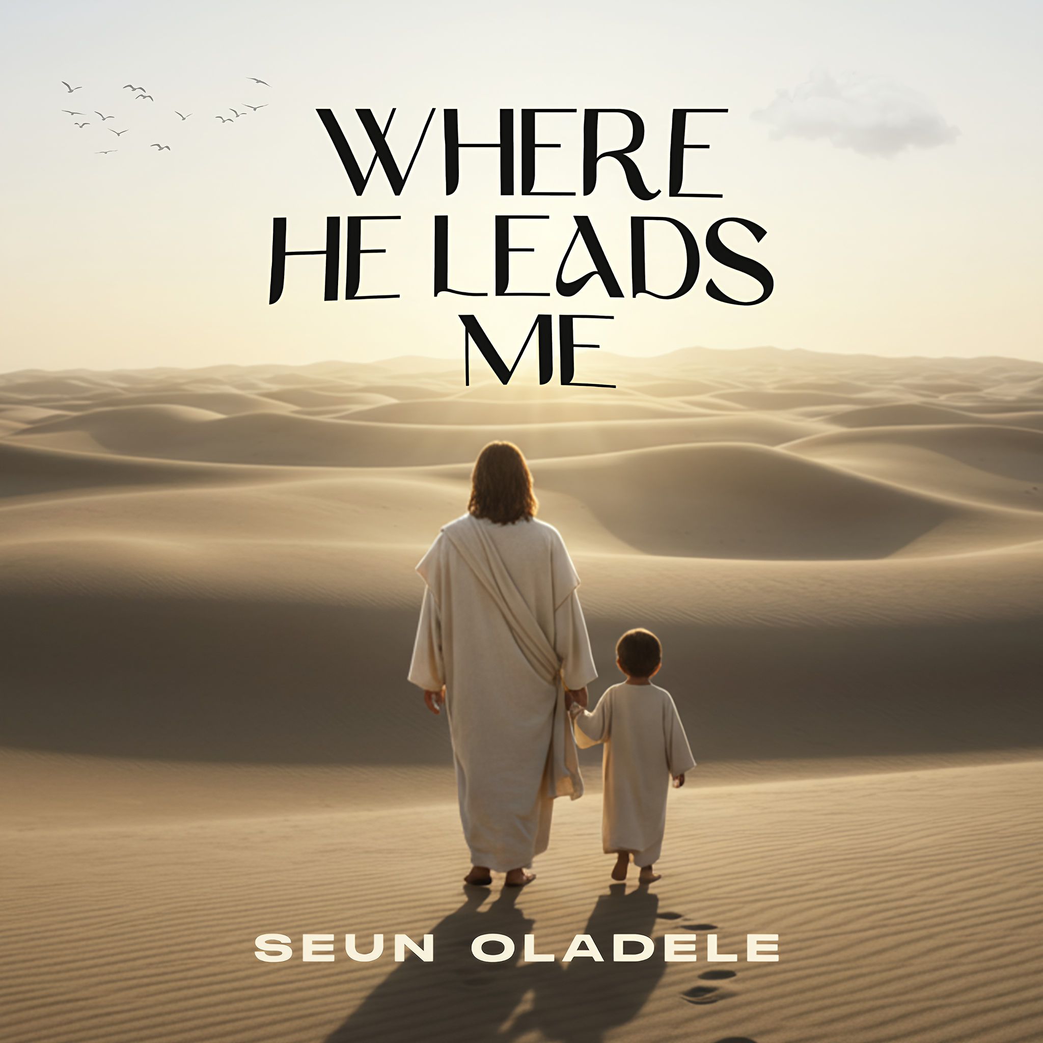 Where He Leads Me Seun Oladele